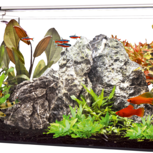 Zestaw akwariowy Happet LED AKWARIUM 40