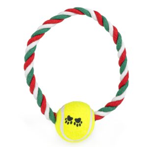 Z532 zabawka koło z piłką HAPPET