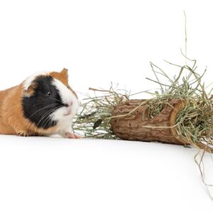 Tunel dla zwierząt 20cm