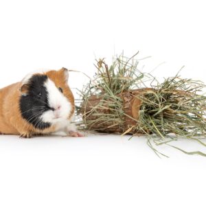 Tunel dla zwierząt 15cm