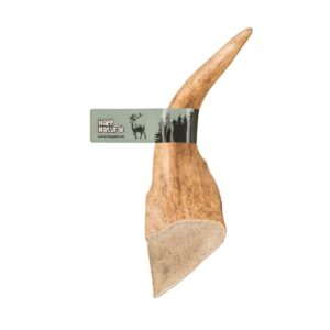 Gryzak z poroża jelenia, XXL hard