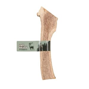 Gryzak z poroża jelenia, XXL easy