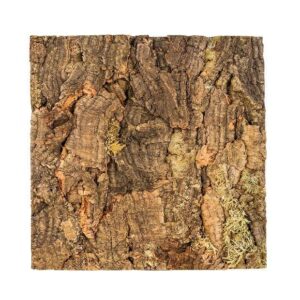 Tło korkowe M, 30x30 cm