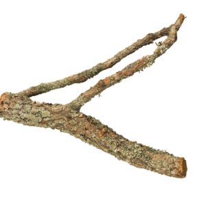 Korek gałąź S,  30cm