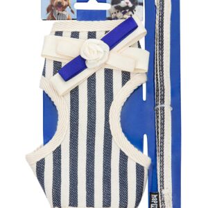 Smycz+miękkie szelki, niebieskie paski