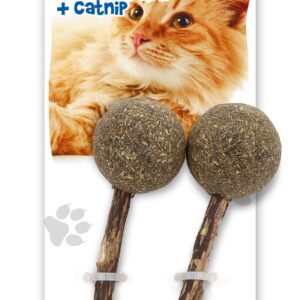 Matatabi & Kocimiętka lizak