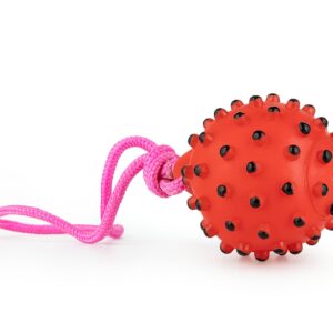 Z852 szarpak czerwona piłka 40cm