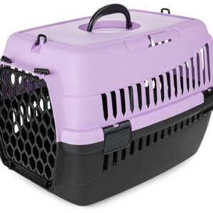 Transporter Abba M fioletowy