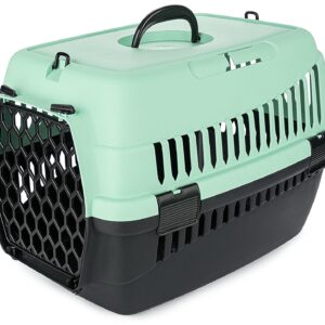 Transporter Abba M zielony