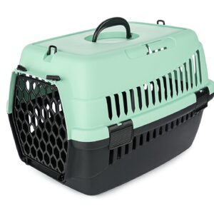 Transporter Abba S zielony