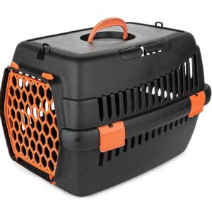 Transporter Teddy S pomarańczowy