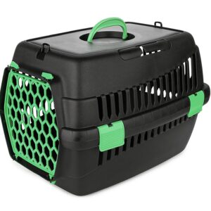 Transporter Teddy S zielony