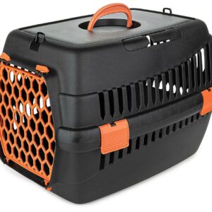 Transporter Teddy M pomarańczowy