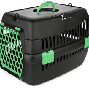 Transporter Teddy M zielony