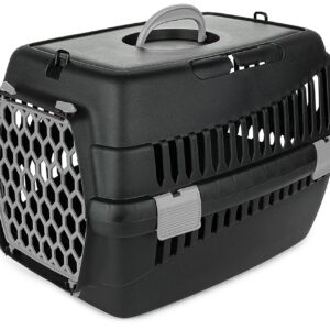 Transporter Teddy M szary