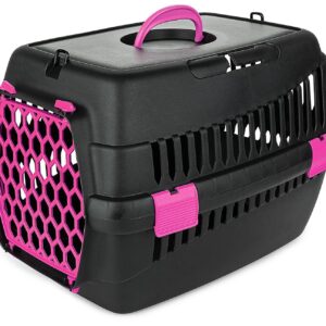 Transporter Teddy M fuksja