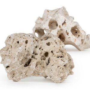 Wapień drążony L jedna sztuka 22-32 cm