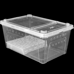 Pojemnik hodowlany BREEDING BOX z platformą 19 cm