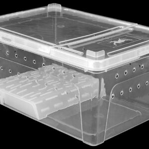 Pojemnik hodowlany BREEDING BOX z platformą 38 cm