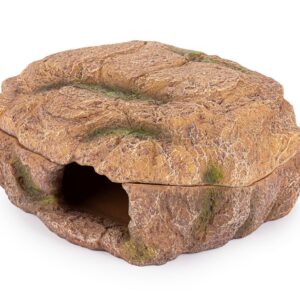 R179 jaskinia mokra kryjówka terrarium