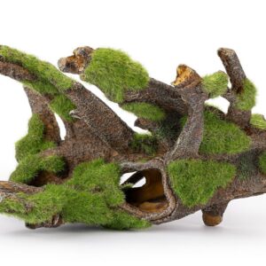Korzeń z mchem do akwarium R191