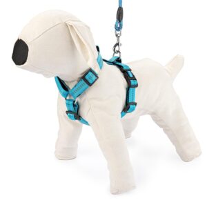 Szelki regulowane Soft Style M niebieskie