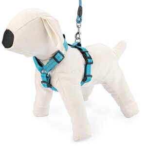 Szelki regulowane Soft Style XL niebieskie