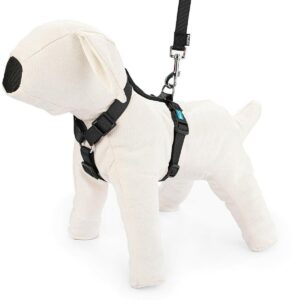 Szelki regulowane taśma S czarne