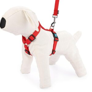 Szelki regulowane taśma S czerwone