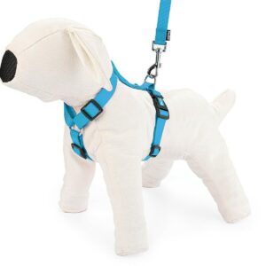 Szelki regulowane taśma M niebieskie