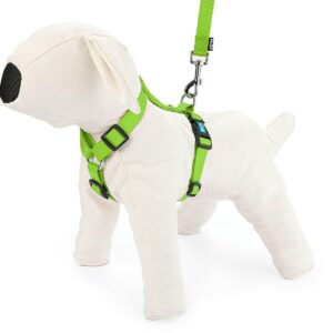 Szelki regulowane taśma XL limonkowe