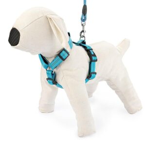 Szelki regulowane Soft Style XS niebieskie