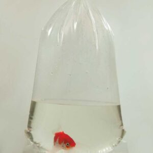 Worki do ryb 18x40 100 sztuk Happet