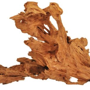 Korzeń MANGROWIEC L Happet 40-60 cm