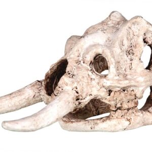 Ozdoba akwariowa Happet R111 czaszka mamuta 11,5cm