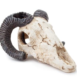 Ozdoba akwariowa Happet R112 czaszka muflona 9 cm