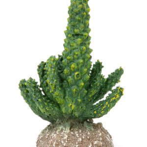 Ozdoba do terrarium Happet R147