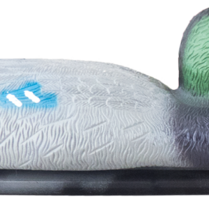 Kaczka krzyżówka samiec Happet