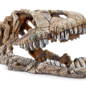 Ozdoba akwariowa Happet U714 czaszka dinozaura 23cm