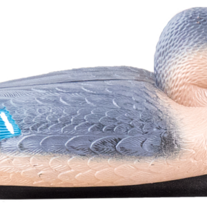 Kaczka krzyżówka samica Happet