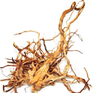 Korzeń japoński Happet kg