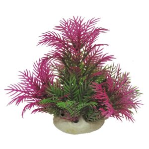 Roślina folia Happet 0F01 mix fioletowo-zielona