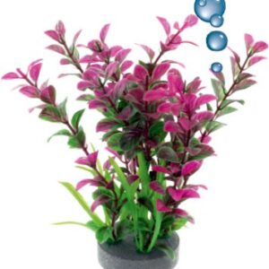 Roślina folia Happet 0F13 mix fioletowo-zielona