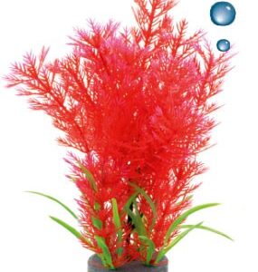 Roślina folia Happet 0F16 mix czerwona