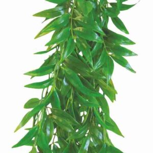 Roślina do terrarium Ficus Longifolia Happet 50cm