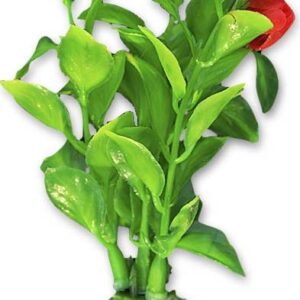 Roślina blister 10cm 1b01 Happet