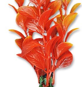 Roślina blister 10cm 1b02 Happet