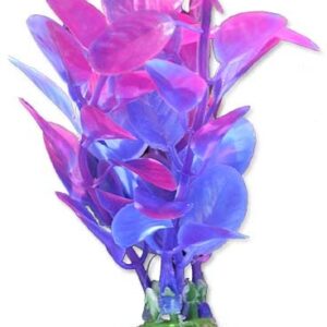 Roślina blister 10cm 1b04 Happet