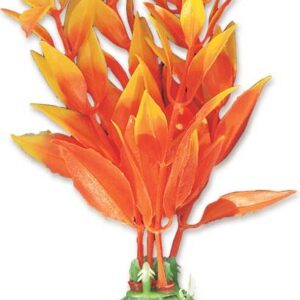 Roślina blister 10cm 1B05 Happet