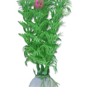 Roślina blister 10cm 1b06 Happet